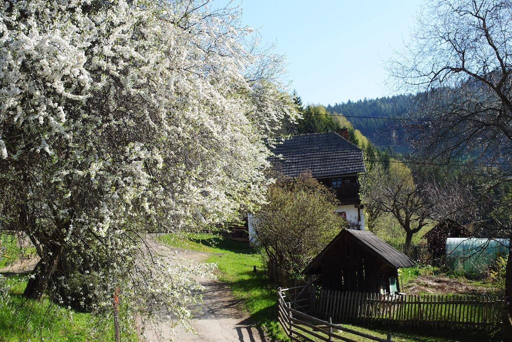 Schlintl-Hof Villa Liebenfels Exterior foto