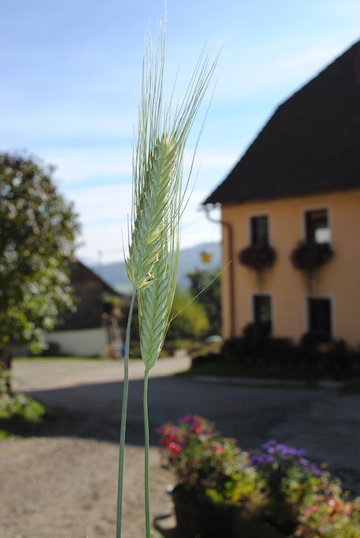 Schlintl-Hof Villa Liebenfels Exterior foto